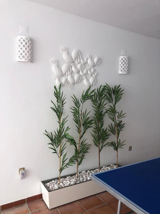 Ofir Beach House Bonanca Esposende Buitenkant foto